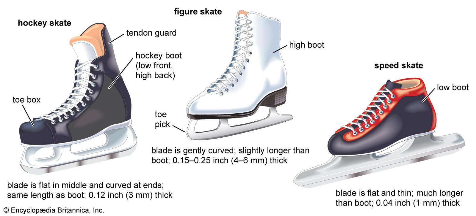 Figure Skates Vs Hockey Skates: Which is Best for You?