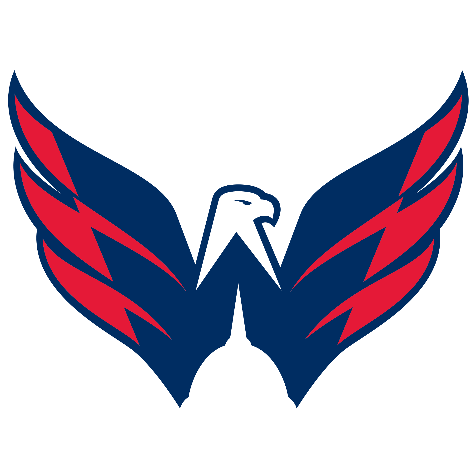 Washington Capitals