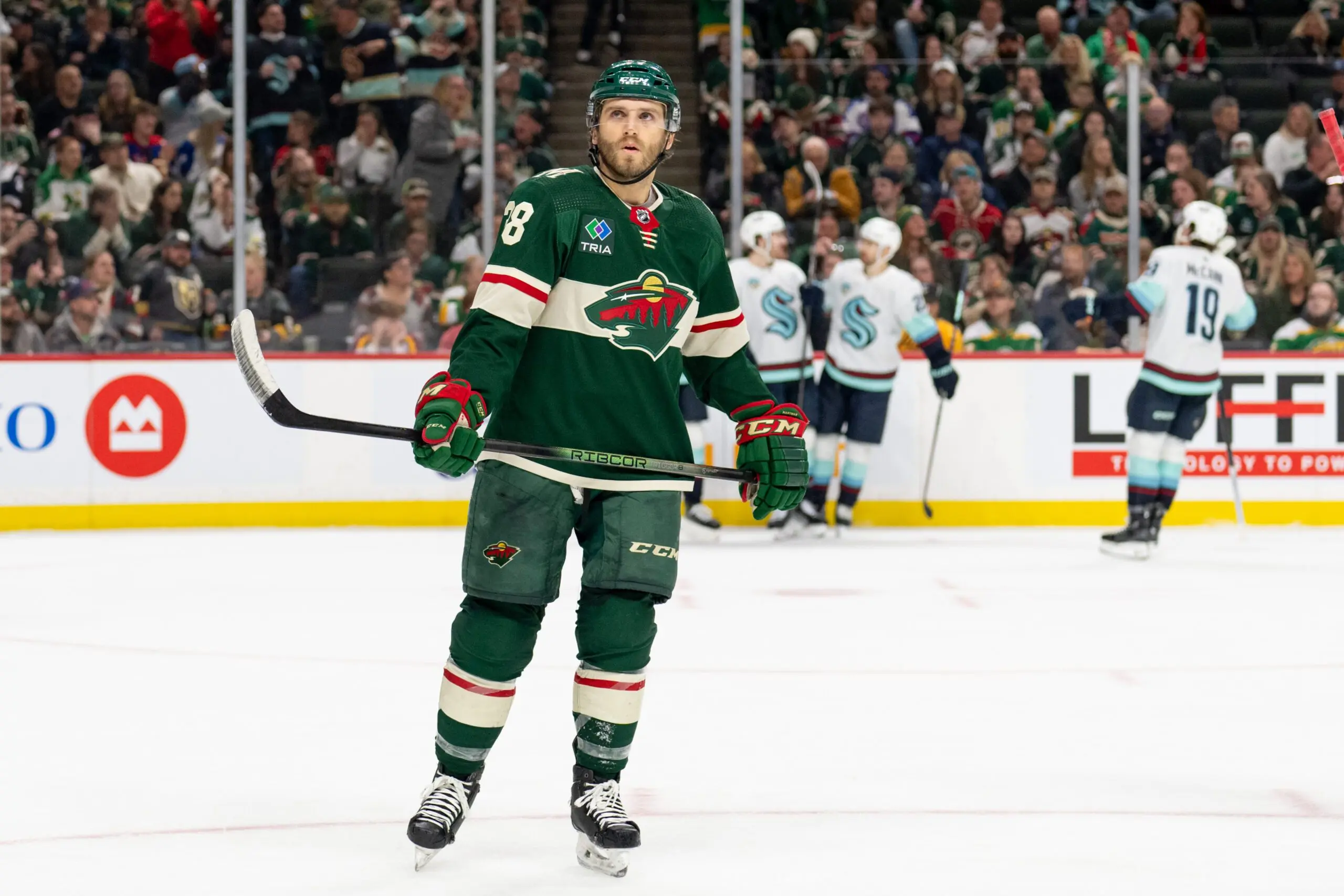 Minnesota Wild
