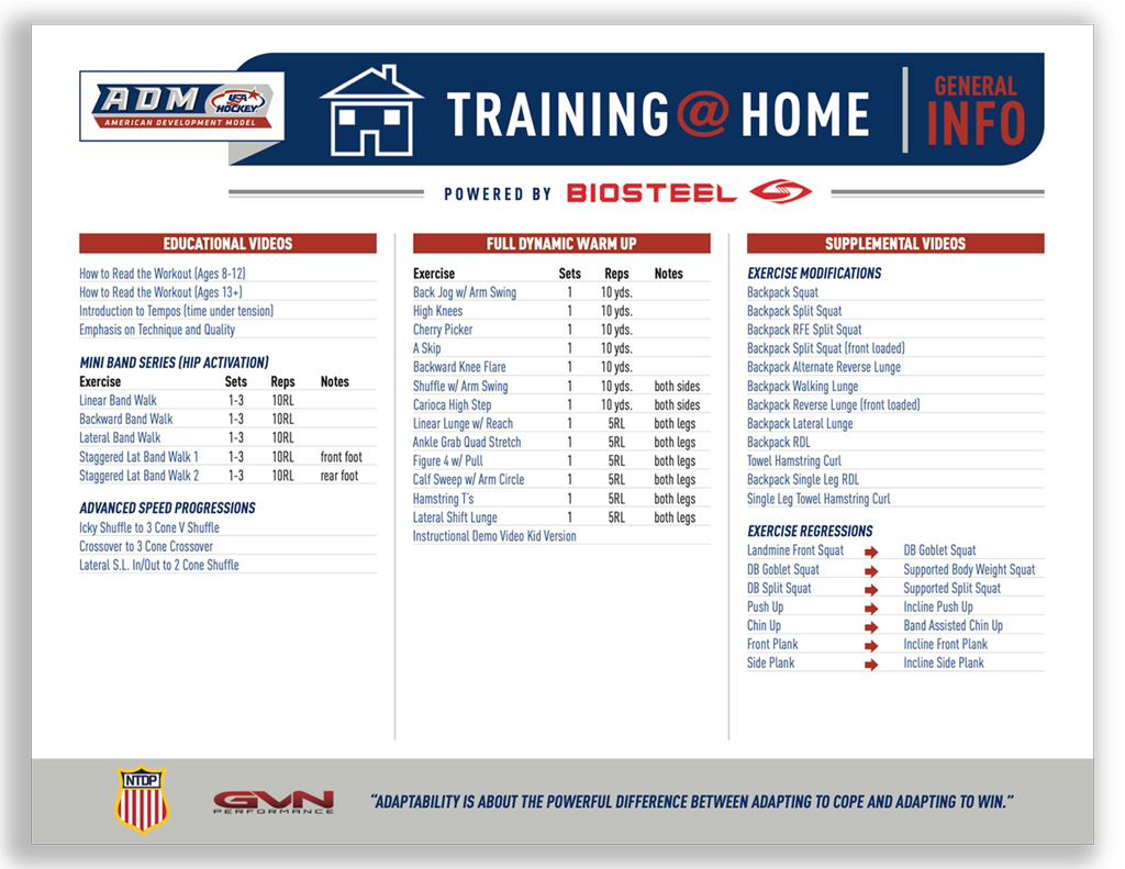 Ice Hockey Training Tips
