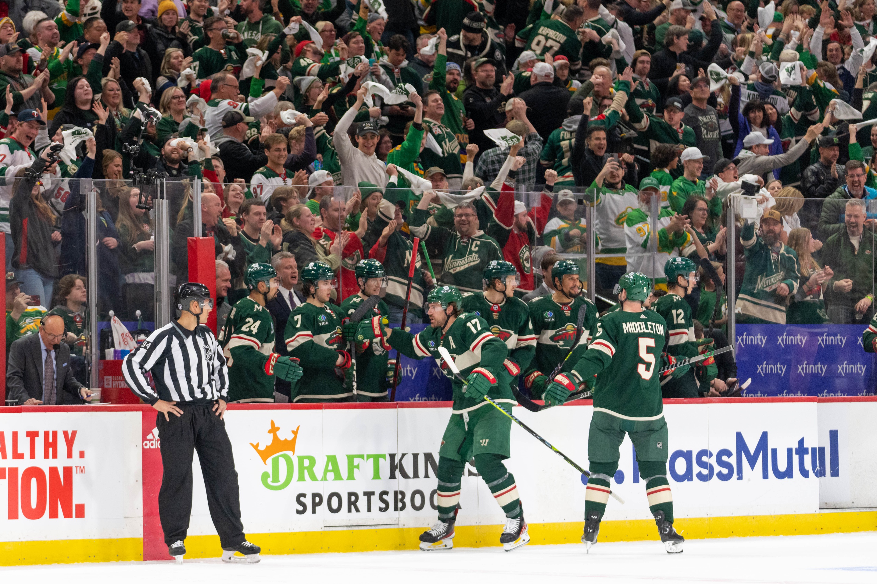 Wild Hockey Game