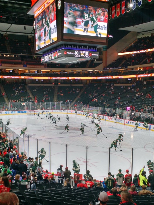 Wild Hockey Game