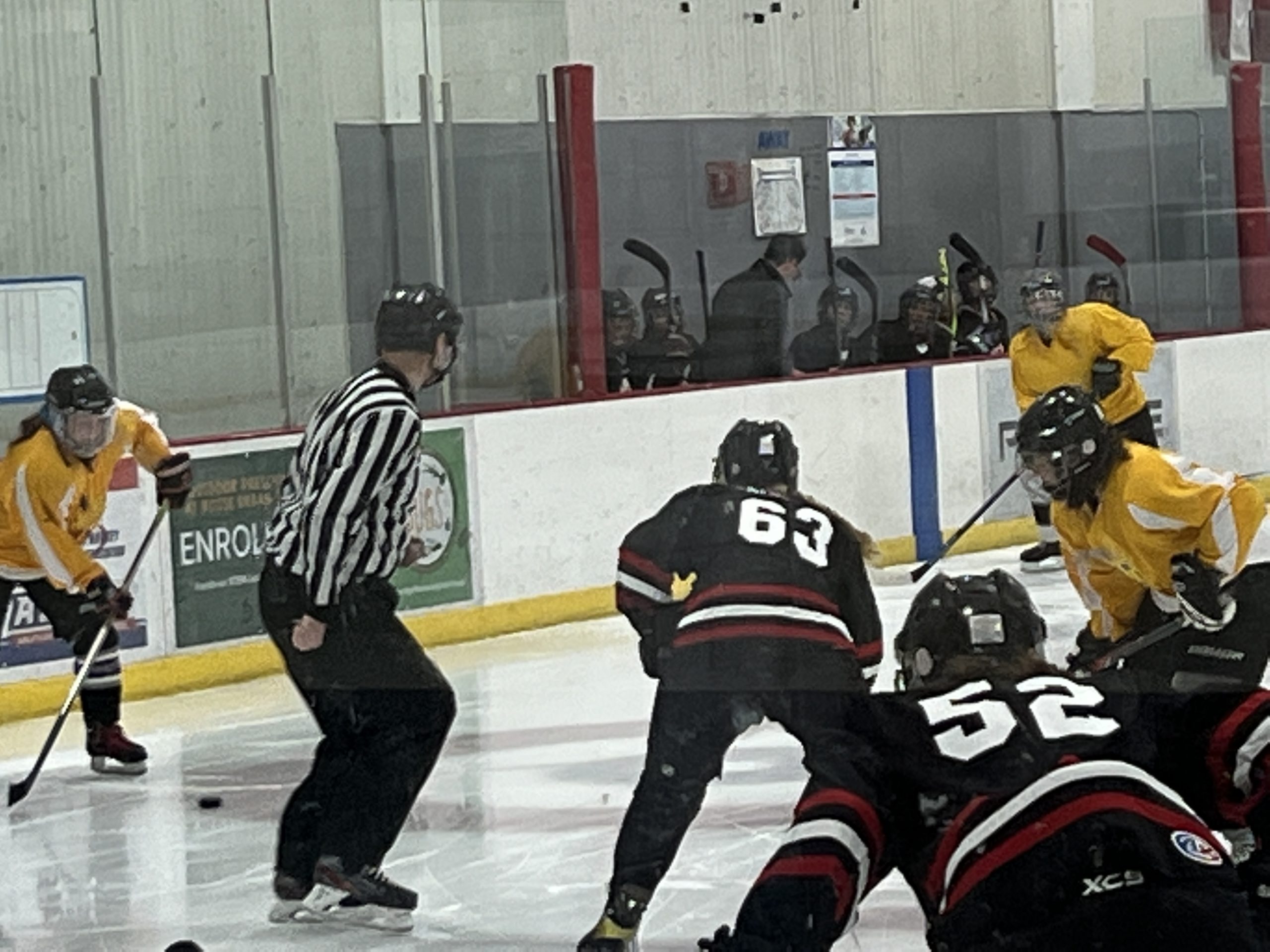 Beer League Hockey